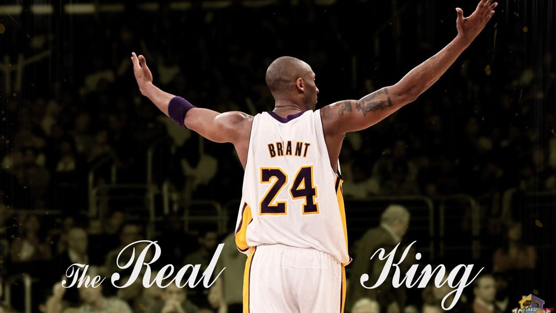 步行者制霸雄鹿,欧文防守端锁死对手,当利刃化为坚盾